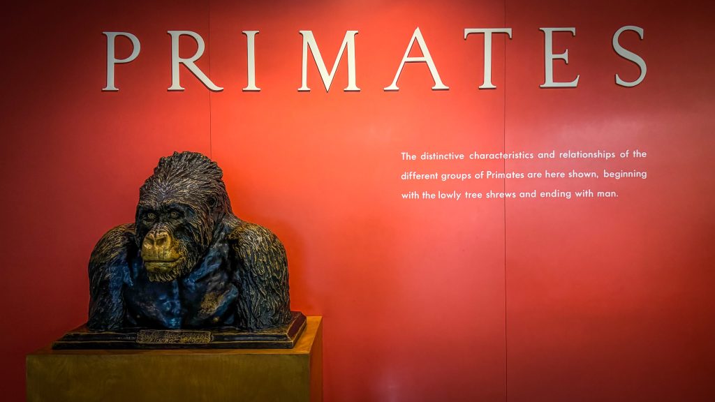 NT MuseumOfNaturalHistory