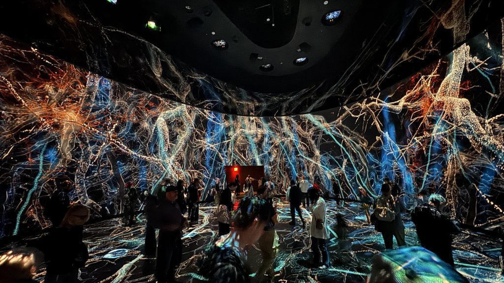 NT MuseumOfNaturalHistory